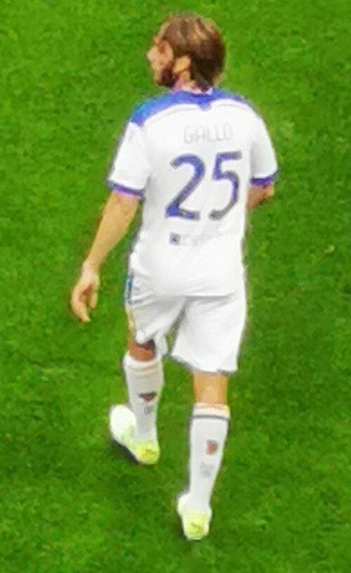Gallo