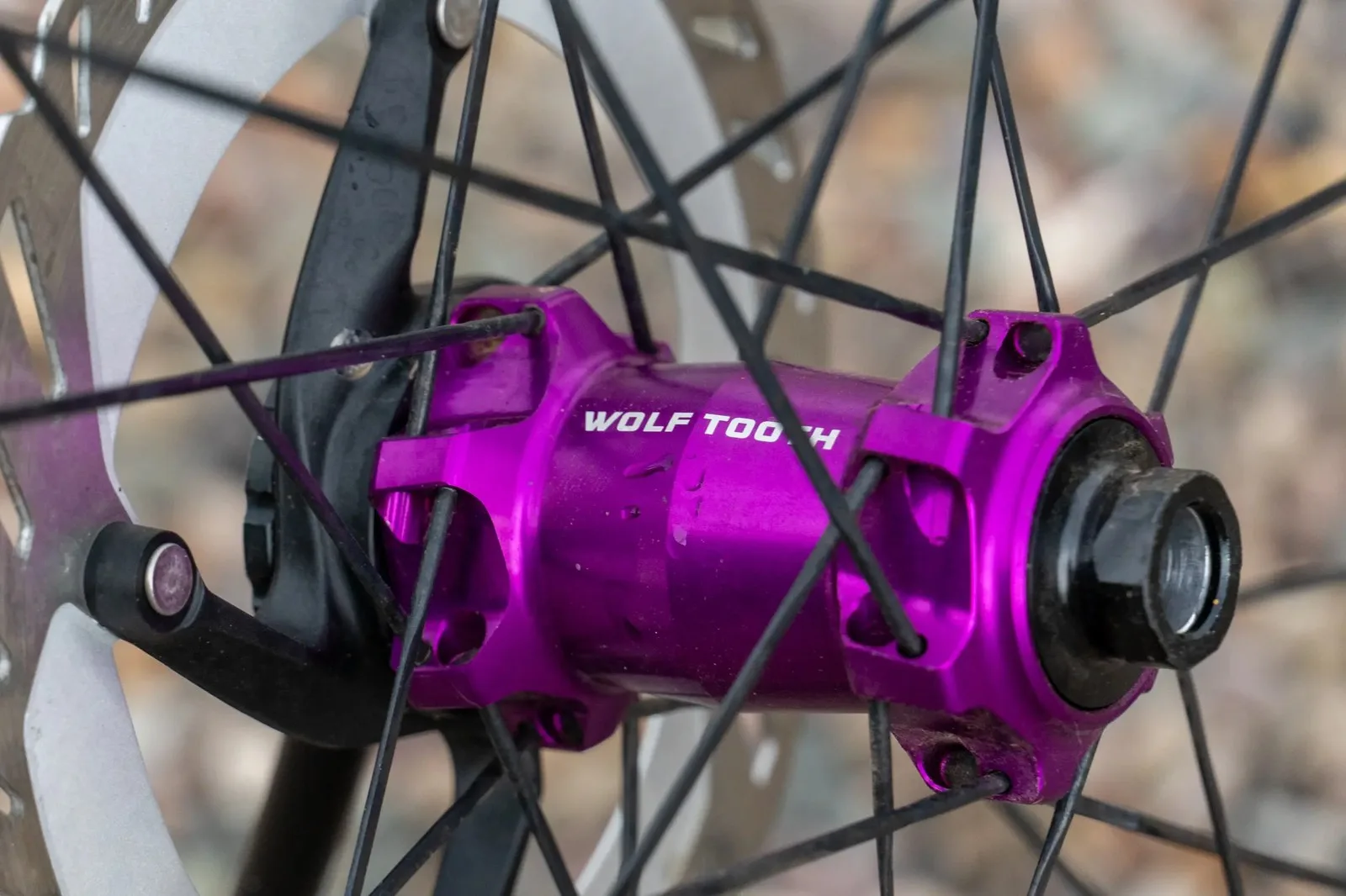 Wolf Tooth Hub Details-2