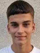 Nemanja Majkic